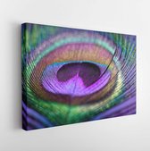 Onlinecanvas - Schilderij - Abstract Macro Peacock Feather. Blur. Multicolored Exotic Bird Art Horizontal Horizontal - Multicolor - 40 X 50 Cm