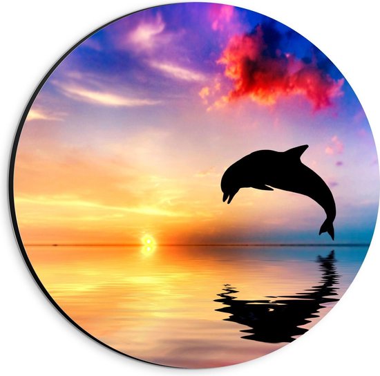 Dibond Wandcirkel - Silhouet van Dolfijn bij Prachtige Lucht  - 20x20cm Foto op Aluminium Wandcirkel (met ophangsysteem)