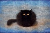 An unusual cute sorry card with a fluffy mad black kitten sitting on the beautiful gradient blue background  - Modern Art Canvas  - Horizontal - 681172321 - 40*30 Horizontal