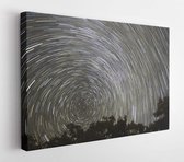 Onlinecanvas - Schilderij - Timelapse Photo Trees With Background Star Art Horizontal Horizontal - Multicolor - 60 X 80 Cm