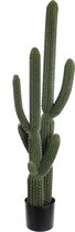 Mica Decorations Cactus Kunstplant - H145 x Ø55 cm - Groen