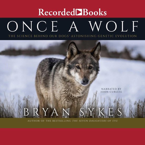 Once a Wolf - cover