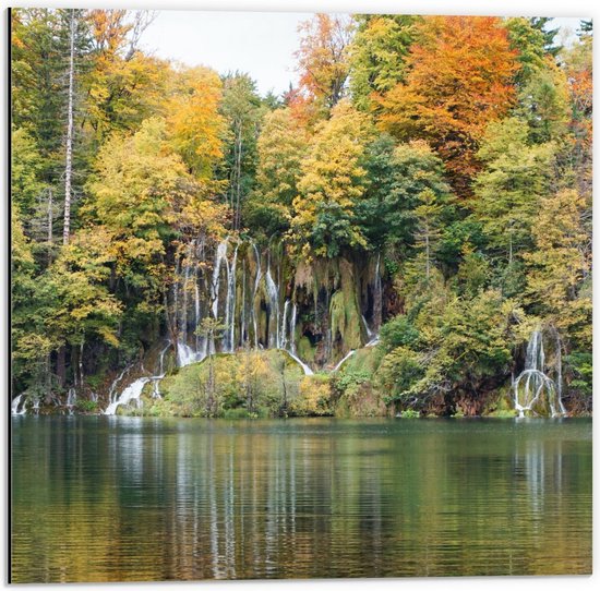 Dibond - Bossen aan het Meer - 50x50cm Foto op Aluminium (Met Ophangsysteem)