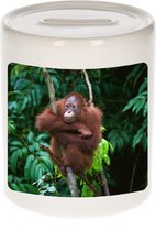 Dieren orangoetan foto spaarpot 9 cm jongens en meisjes - Cadeau spaarpotten orang oetan apen liefhebber
