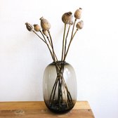 Droogbloemen - Papaver - Bos - Gedroogde Bloemen Dry FLWRS®