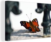 Canvas Schilderij Dagpauwoog vlinder op de grond - 30x20 cm - Wanddecoratie