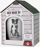 Mok - Hond - Cadeau - Border Collie - Gevuld met verpakte Italiaanse bonbons - In cadeauverpakking met gekleurd lint