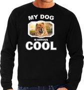 Chow chow honden trui / sweater my dog is serious cool zwart - heren - Chow chows liefhebber cadeau sweaters L