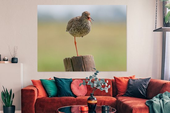 Redshank debout sur une jambe Toile 160x120 cm - Tirage photo sur toile (Décoration murale salon / chambre) XXL / Groot format!