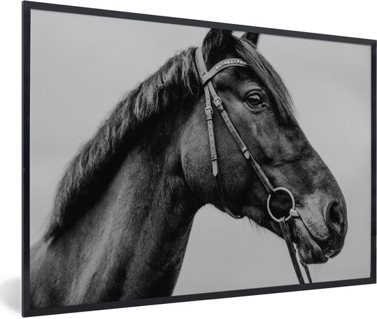 Fotolijst incl. Poster - Paard - Halster - Portret - 120x80 cm - Posterlijst