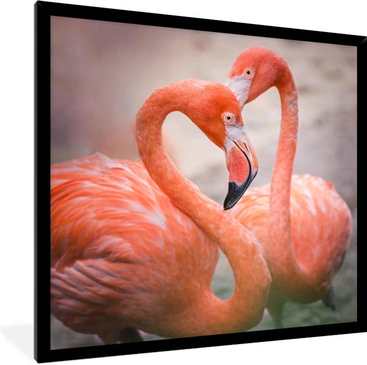 Fotolijst incl. Poster - Flamingo's die met hun nek een hart vormen - 40x40 cm - Posterlijst op Prijzenvolger.com