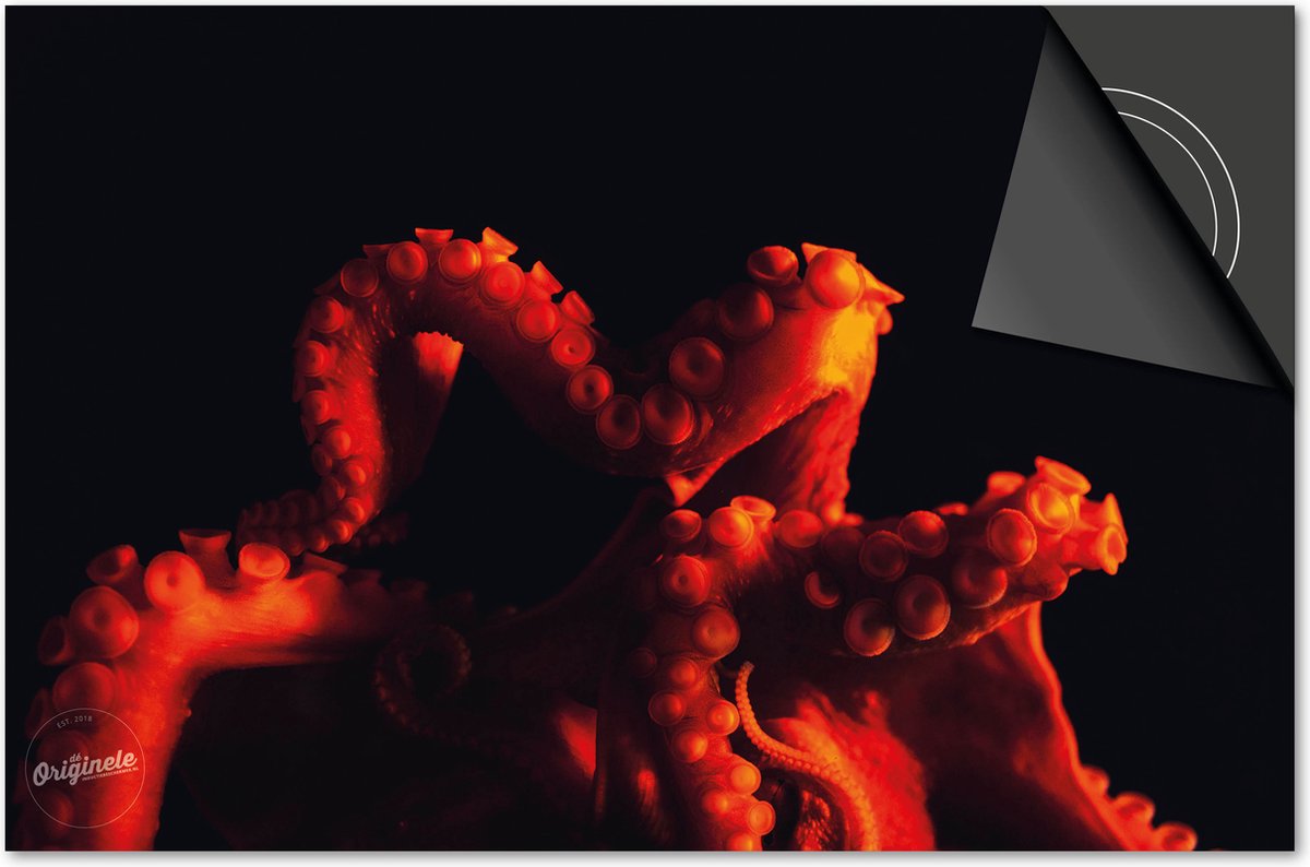 Inductie beschermer 76x51,5 - afdekplaat inductie mat - Dietrix Kookplaat beschermer - Exclusief - Under the Sea - Octopus Rood