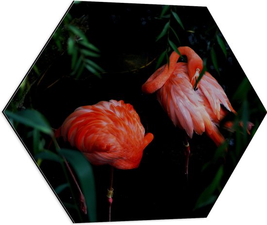 WallClassics - Dibond Hexagon - Felroze Flamingo's tussen Donkergroene Bladeren - 60x52.2 cm Foto op Hexagon (Met Ophangsysteem)