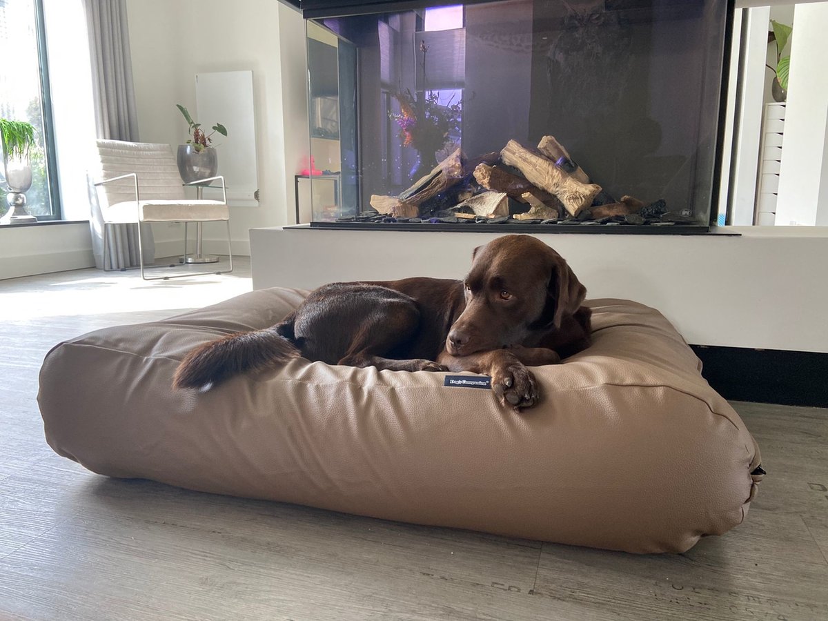Dog's Companion - Hondenkussen / Hondenbed taupe leather look - XS - 55x45cm