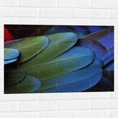 WallClassics - Muursticker - Veren van een Gekleurde Papegaai - 75x50 cm Foto op Muursticker