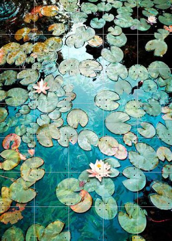 IXXI Waterlilies - Wanddecoratie - Fotografie - 100 x 140 cm
