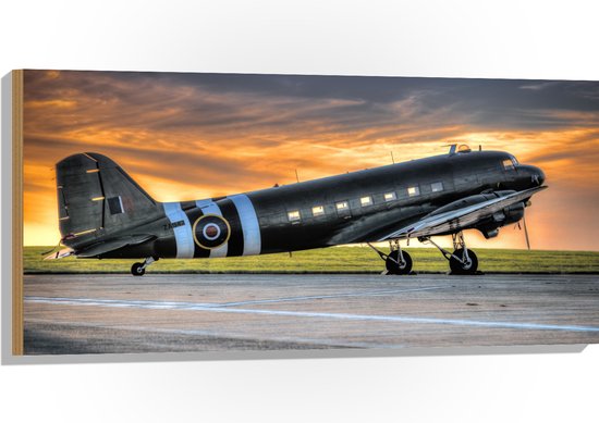 WallClassics - Hout - Zwart Vliegtuig bij Zonsondergang - 100x50 cm - 9 mm dik - Foto op Hout (Met Ophangsysteem)