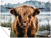 Tuinposter - Tuindoek - Tuinposters buiten - Koeien - Schotse hooglander - Bruin - Natuur - 120x90 cm - Tuin
