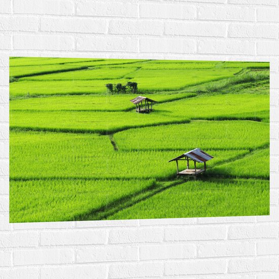 Muursticker - Houten Hutjes in Grote Groene Rijstvelden in Vietnam - 105x70 cm Foto op Muursticker