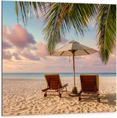 Dibond - Twee Ligbedden op het Strand met Palmboom - 100x100 cm Foto op Aluminium (Met Ophangsysteem)