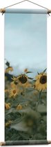 WallClassics - Affiche textile - Tournesols jaunes dans le champ - 30x90 cm Photo sur textile