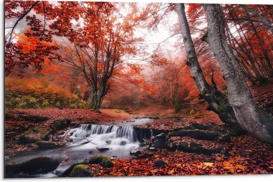 Dibond - Bos met Stromend Water en Roodkleurige Bladeren - 75x50 cm Foto op Aluminium (Met Ophangsysteem)