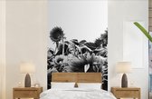 Behang - Fotobehang Zonnebloemen in Nederland zwart-wit - Breedte 120 cm x hoogte 240 cm