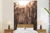 Behang - Fotobehang Veld met riet - Breedte 145 cm x hoogte 220 cm