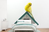 Behang - Fotobehang Een gele kanarie op een huisje voor vogels - Breedte 450 cm x hoogte 300 cm
