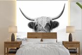 Behang - Fotobehang Dieren - Schotse hooglander - Koe - Zwart - Wit - Breedte 280 cm x hoogte 280 cm