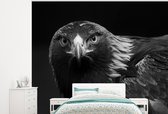 Behang - Fotobehang Buizerd - Vogel - Dieren - Zwart - Wit - Breedte 325 cm x hoogte 260 cm