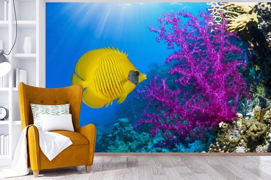 Papier peint Papier peint photo en vinyle - Un papillon corail jaune à côté d'un corail mou joliment coloré dans la mer Rouge largeur 390 cm x hauteur 260 cm - Tirage photo sur papier peint (disponible en 7 tailles)