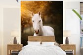 Behang - Fotobehang Paard - Licht - Zon - Breedte 175 cm x hoogte 240 cm