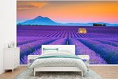 Behang - Fotobehang Lavendel - Paars - Bloemen - Breedte 295 cm x hoogte 220 cm