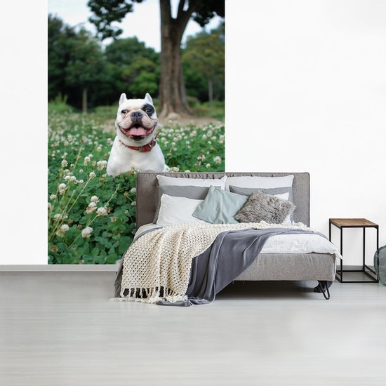 Behang - Fotobehang Dier - Klaver - Hond - Breedte 155 cm x hoogte 240 cm