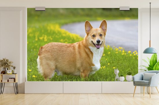 Papier peint photo peint photo vinyle - Corgi entre les fleurs largeur 330 cm x hauteur 220 cm - Tirage photo sur papier peint (disponible en 7 tailles)