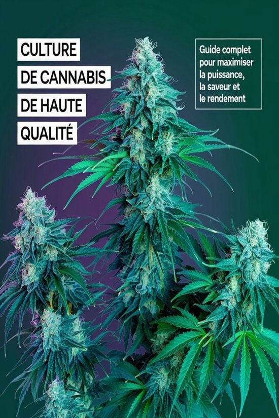 Culture de cannabis de haute qualité, guide complet pour maximiser puissance, saveur et rendement.
