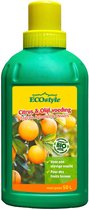 ECOstyle Citrus & Olijf Voeding - Stevige Vrucht - Langdurige Werking - Voor Alle Mediterrane Planten en Bomen 500 ML