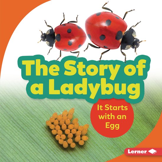 The Story of a Ladybug - cover