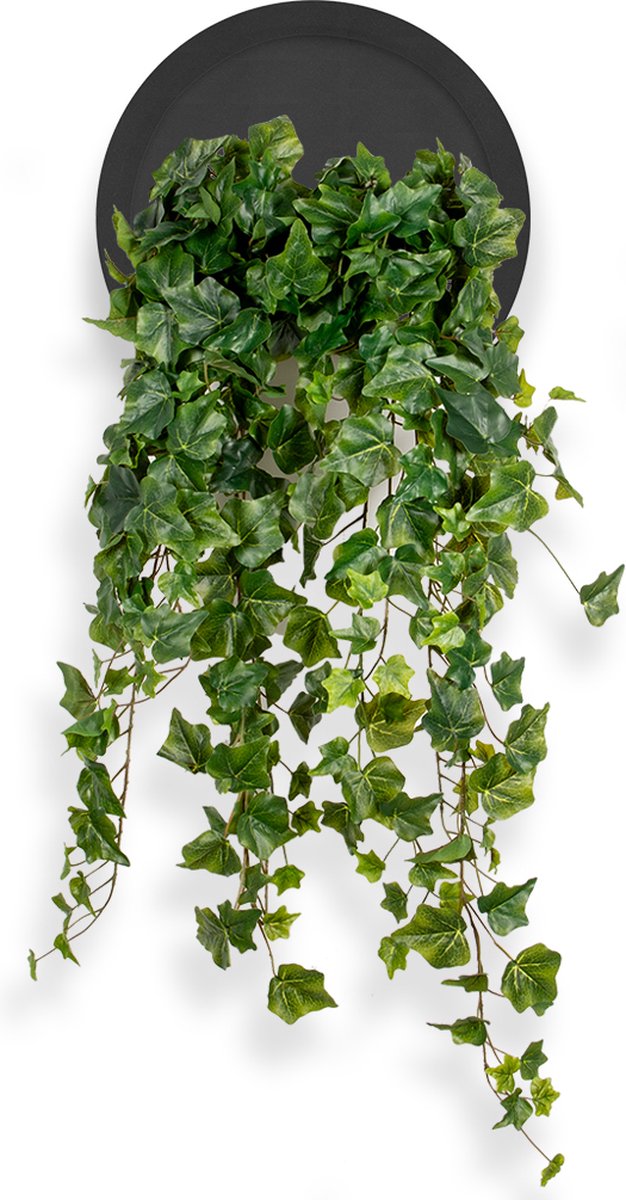 HTT Decorations Kunstplant Hedera groen in Wally Ø30 cm zwart - HTT Decorations kunstplanten