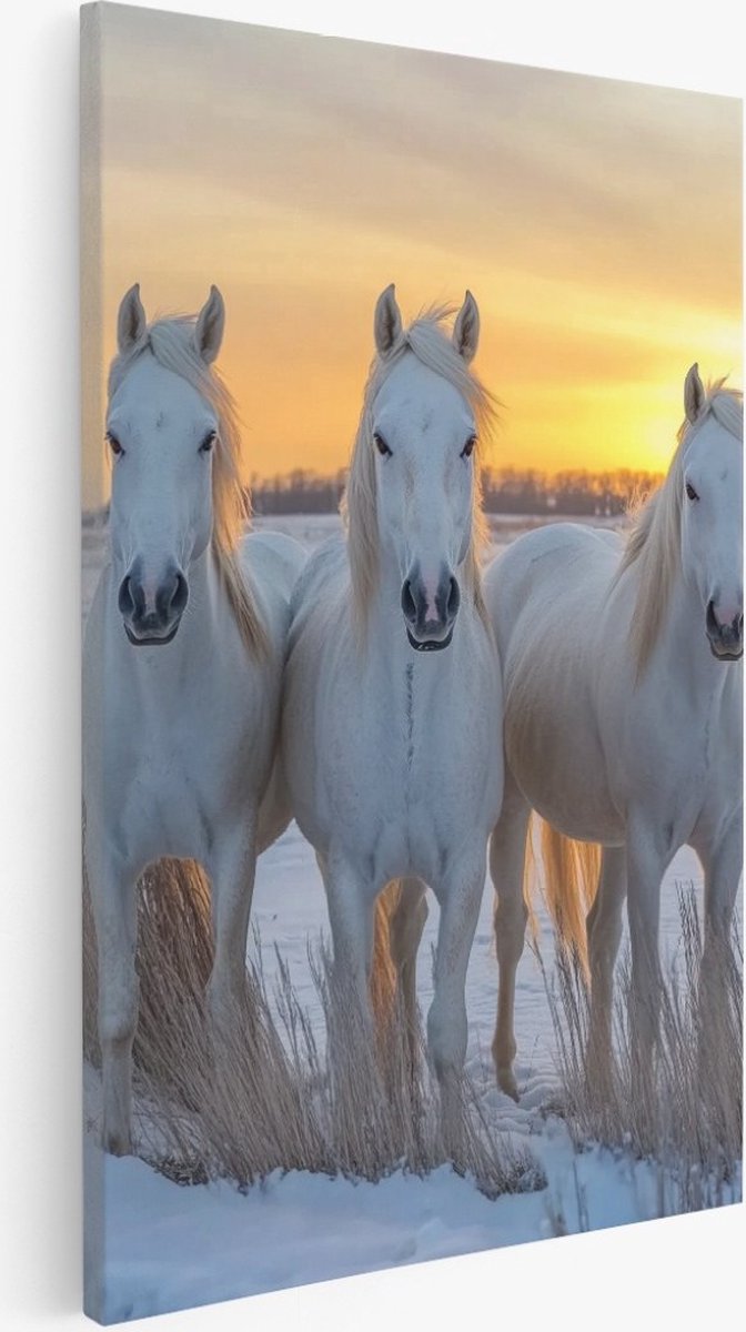 Saammp Canvas Schilderij - 3 witte paarden - Natuur - Dieren - 50x70 - Foto op canvas - Wanddecoratie - Muurdecoratie Woonkamer - Slaapkamer decoratie - Canvas Print Multicolor