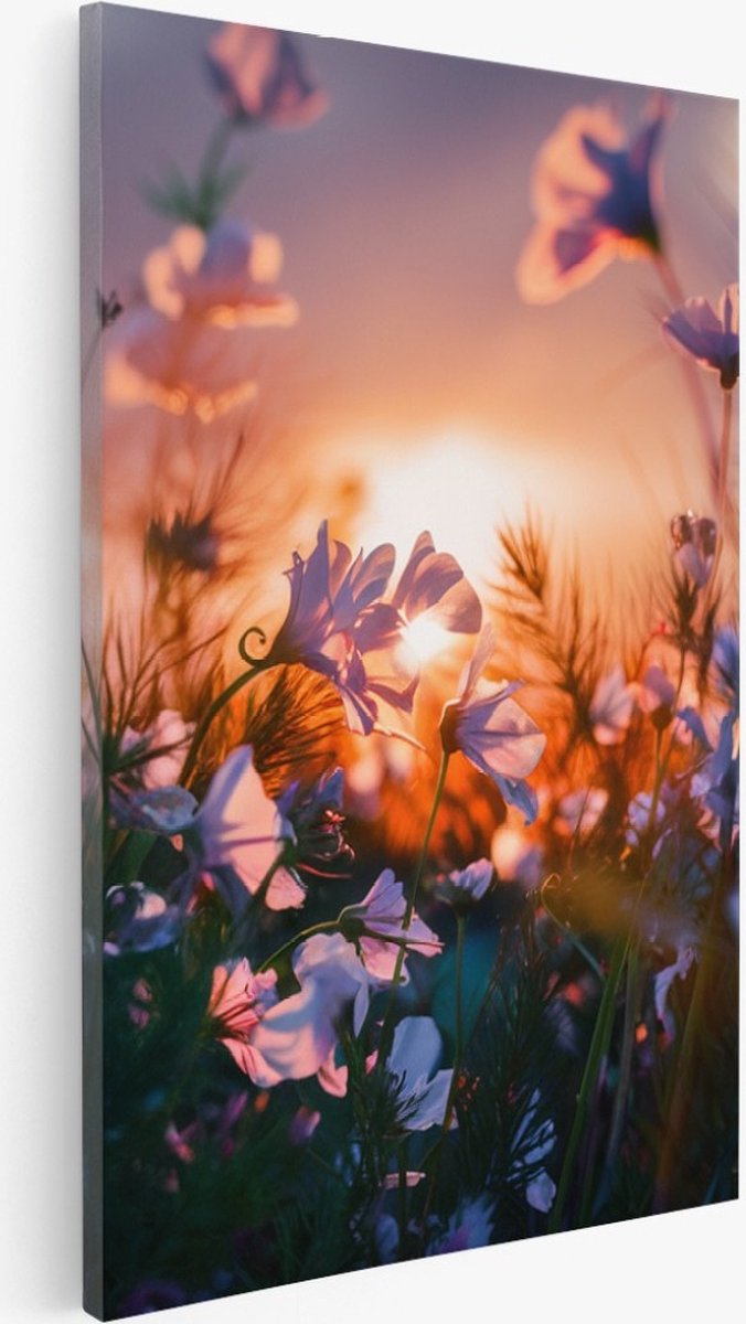 Saammp Canvas Schilderij - Landschap - Bloemen met zonsondergang - Natuur - 75x100 - Foto op canvas - Wanddecoratie - Muurdecoratie Woonkamer - Slaapkamer decoratie - Canvas Print Multicolor