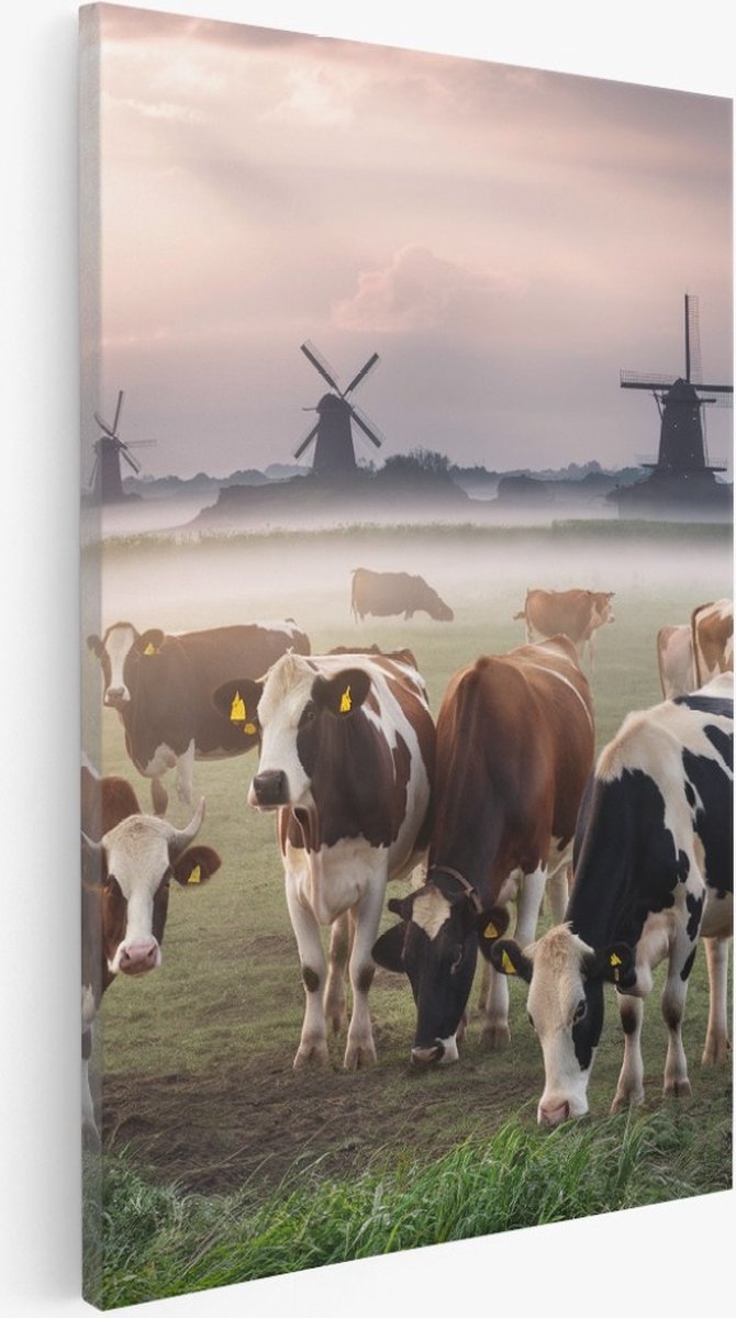 Saammp Canvas Schilderij - Koeien in de wei in nederland - Molens - Dieren - 75x100 - Foto op canvas - Wanddecoratie - Muurdecoratie Woonkamer - Slaapkamer decoratie - Canvas Print Multicolor