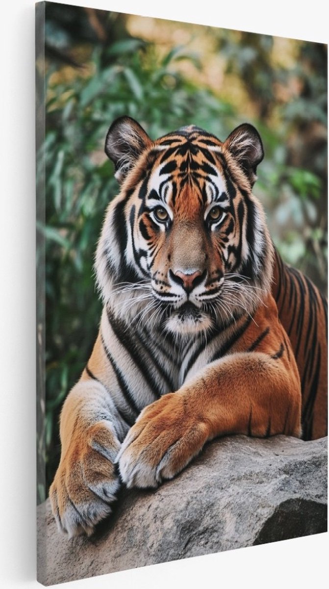 Saammp Canvas Schilderij - Tijger op rots - Dieren - Natuur - 80x120 - Foto op canvas - Wanddecoratie - Muurdecoratie Woonkamer - Slaapkamer decoratie - Canvas Print Multicolor