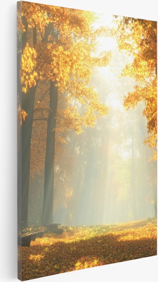 Saammp Canvas Schilderij - pad tussen de hoge bomen - Natuur - Landschap - 40x50 - Foto op canvas - Wanddecoratie - Muurdecoratie Woonkamer - Slaapkamer decoratie - Canvas Print Multicolor