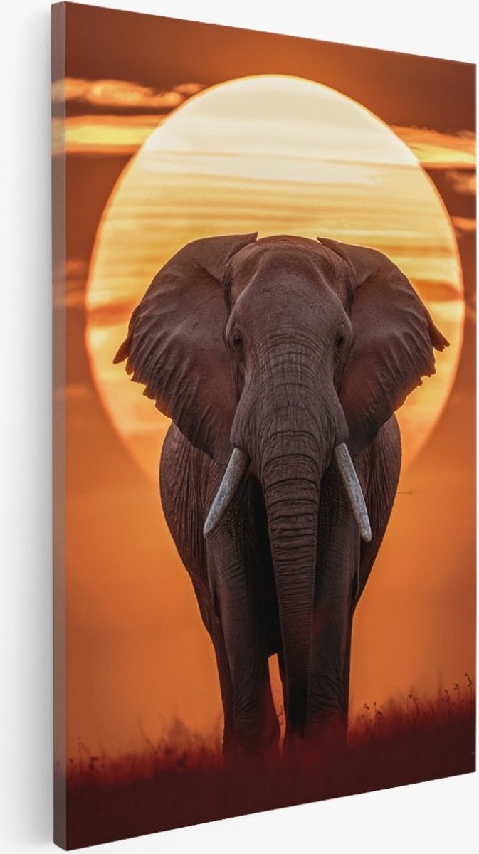 Saammp Canvas Schilderij - Olifant met afrikaanse zonsondergang - Natuur - Dieren - 100x150 - Foto op canvas - Wanddecoratie - Muurdecoratie Woonkamer - Slaapkamer decoratie - Canvas Print Multicolor