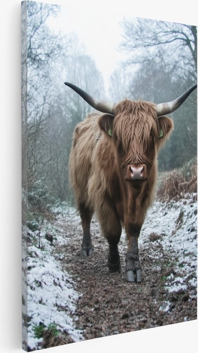 Saammp Canvas Schilderij - Schotse hooglander koe in de sneeuw - Dieren - Abstract - 100x150 - Foto op canvas - Wanddecoratie - Muurdecoratie Woonkamer - Slaapkamer decoratie - Canvas Print Multicolor