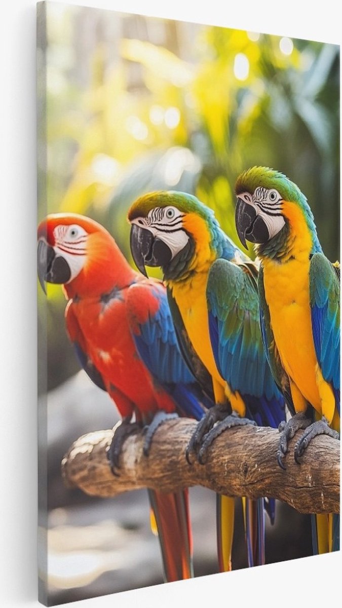 Saammp Canvas Schilderij - 3 Papegaaien - Dieren - Natuur - 30x45 - Foto op canvas - Wanddecoratie - Muurdecoratie Woonkamer - Slaapkamer decoratie - Canvas Print Multicolor