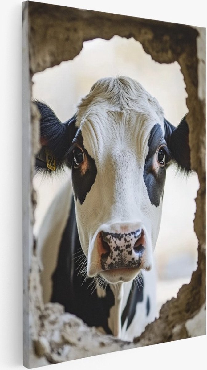Saammp Canvas Schilderij - Glurende koe - Dieren - Natuur - 30x40 - Foto op canvas - Wanddecoratie - Muurdecoratie Woonkamer - Slaapkamer decoratie - Canvas Print Multicolor