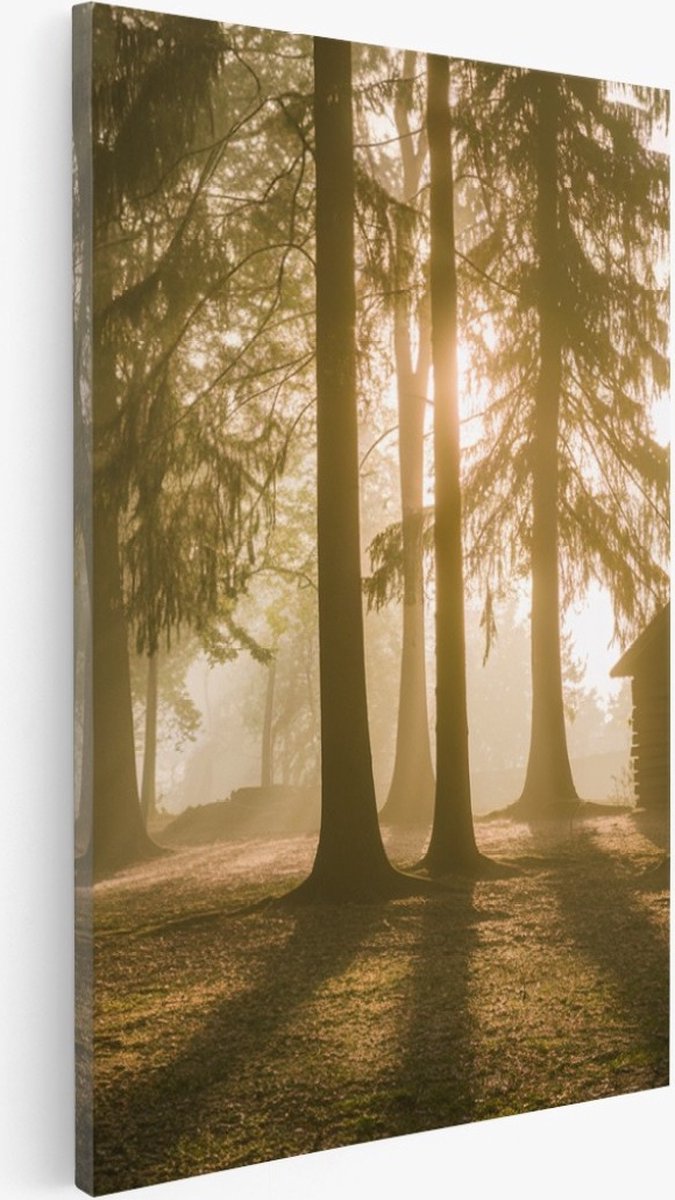 Saammp Canvas Schilderij - Huis - Grote Bomen - Landschap - Natuur - 30x40 - Foto op canvas - Wanddecoratie - Muurdecoratie Woonkamer - Slaapkamer decoratie - Canvas Print Multicolor